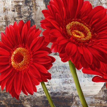 JENNY THOMLINSON - Red Gerberas I