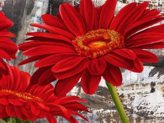 JENNY THOMLINSON - Red Gerberas II