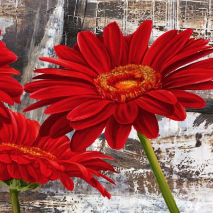 JENNY THOMLINSON - Red Gerberas II