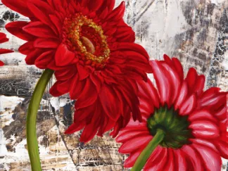 JENNY THOMLINSON - Red Gerberas III