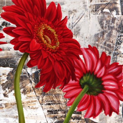 JENNY THOMLINSON - Red Gerberas III