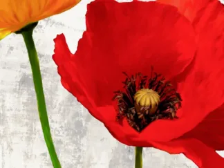 JENNY THOMLINSON - Summer Poppies I