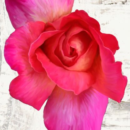 JENNY THOMLINSON - Spring Roses I