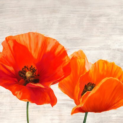 JENNY THOMLINSON - Bright Poppies I