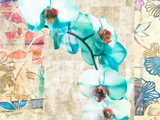 KELLY PARR - Kaleidoscope Orchid II