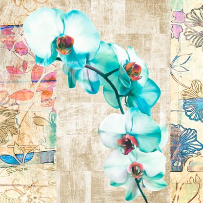 KELLY PARR - Kaleidoscope Orchid II