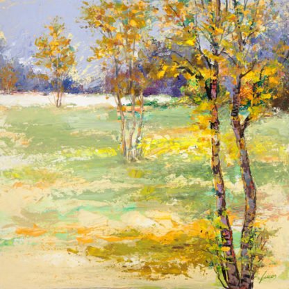 LUCAS - Brezza del Bosco