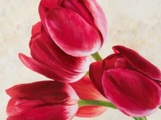 LUCA VILLA - Tulip Concerto (detail)