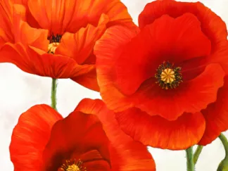 LUCA VILLA - Poppies I