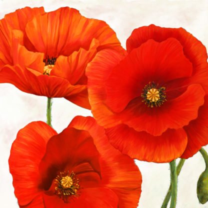 LUCA VILLA - Poppies I