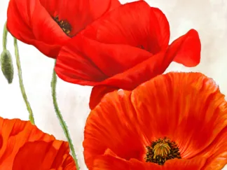 LUCA VILLA - Poppies II