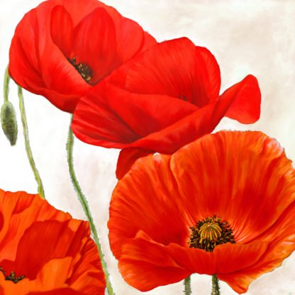 LUCA VILLA - Poppies II