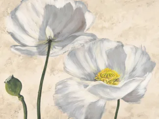 LUCA VILLA - Poppies in White I
