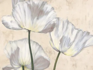 LUCA VILLA - Poppies in White II