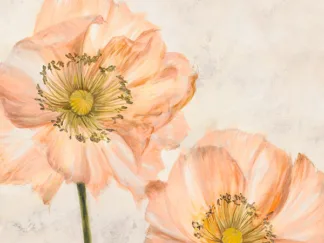 LUCA VILLA - Poppies in Pink I