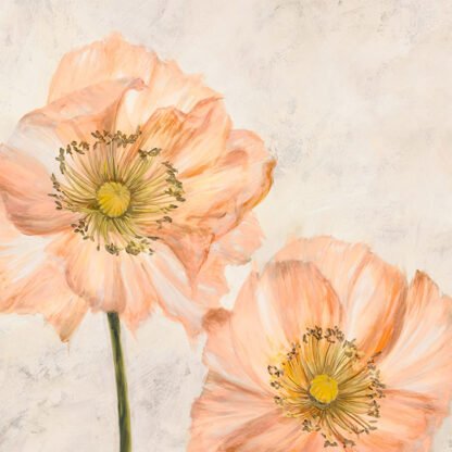 LUCA VILLA - Poppies in Pink I