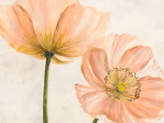 LUCA VILLA - Poppies in Pink II