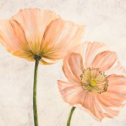 LUCA VILLA - Poppies in Pink II