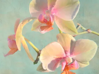 LUCA VILLA - Jewel Orchids I