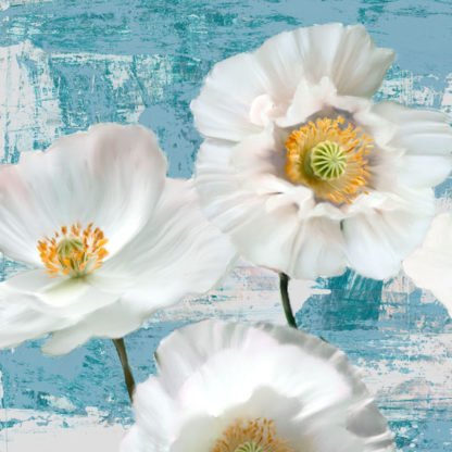 LEONARDO SANNA - Washed Poppies (Aqua) I