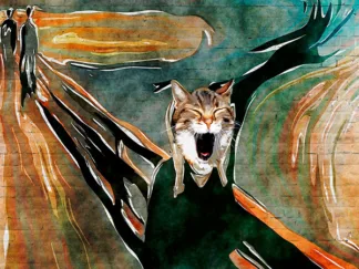 MASTERFUNK COLLECTIVE - The Meow, Kansas City