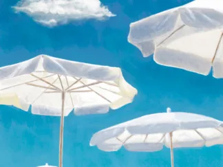 DARIO MARZI - Beach Life I (detail)