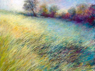 NEL WHATMORE - Feathered Field