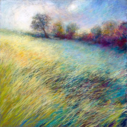 NEL WHATMORE - Feathered Field