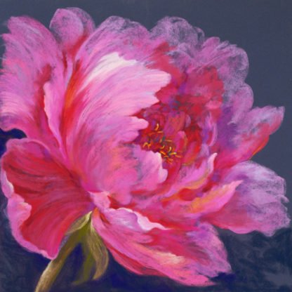 NEL WHATMORE - Secret Surprise