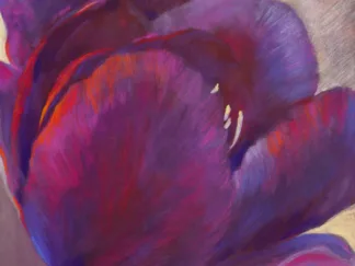 NEL WHATMORE - Purple Queen