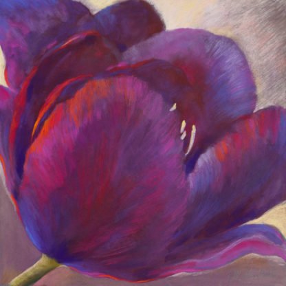NEL WHATMORE - Purple Queen