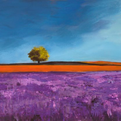 PHILIP BLOOM - Field of Lavender (detail)
