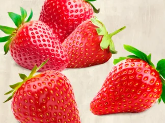 REMO BARBIERI - Strawberries