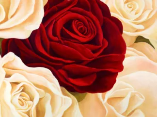 SERENA BIFFI - Rose Composition (detail)