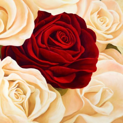 SERENA BIFFI - Rose Composition (detail)