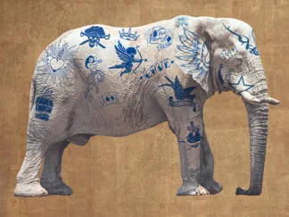 STEVEN HILL - Tattooed Savannah I