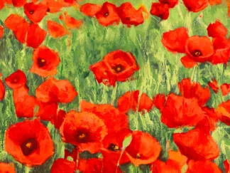 SILVIA MEI - Poppies