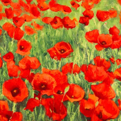 SILVIA MEI - Poppies