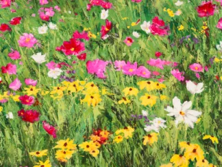 SILVIA MEI - Country Flowers