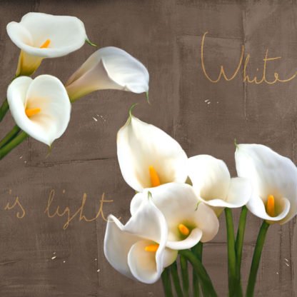 TEO RIZZARDI - White Callas