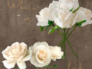 TEO RIZZARDI - White Roses