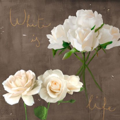 TEO RIZZARDI - White Roses