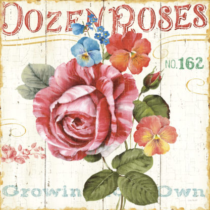LISA AUDIT - Rose Garden II