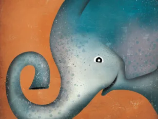 RYAN FOWLER - Elephant Wow