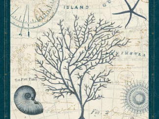 PELA STUDIO - Ocean Life IV