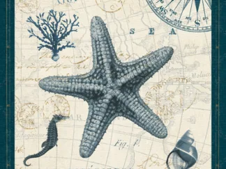 PELA STUDIO - Ocean Life V