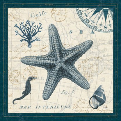 PELA STUDIO - Ocean Life V