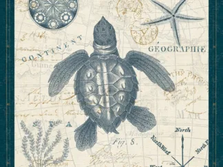 PELA STUDIO - Ocean Life VI