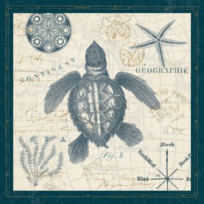 PELA STUDIO - Ocean Life VI