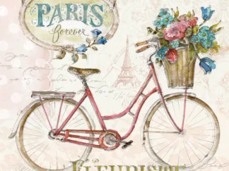 LISA AUDIT - Paris Forever II